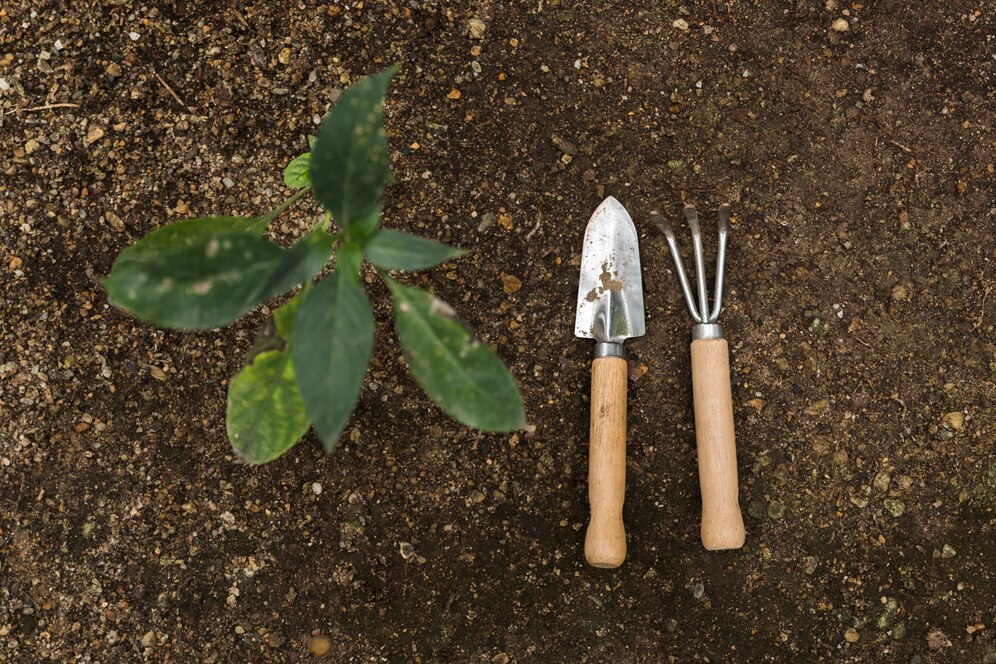 flat-lay-gardening-concept_23-2148127950